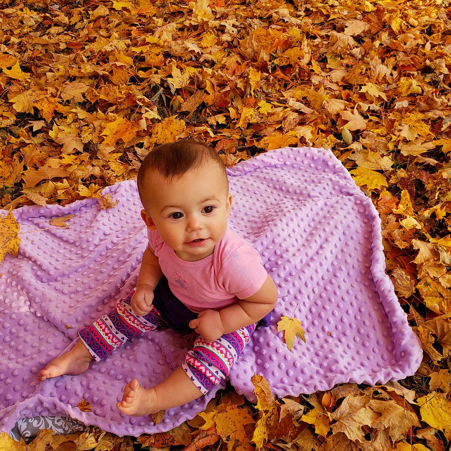 Linnea is registered to the contest to win money with this photo: autumn, baby, beauty, child, happy, knitting, leaf, people_in_nature, person, photography, portrait_photography, smile, toddler, tree, wood, yellow