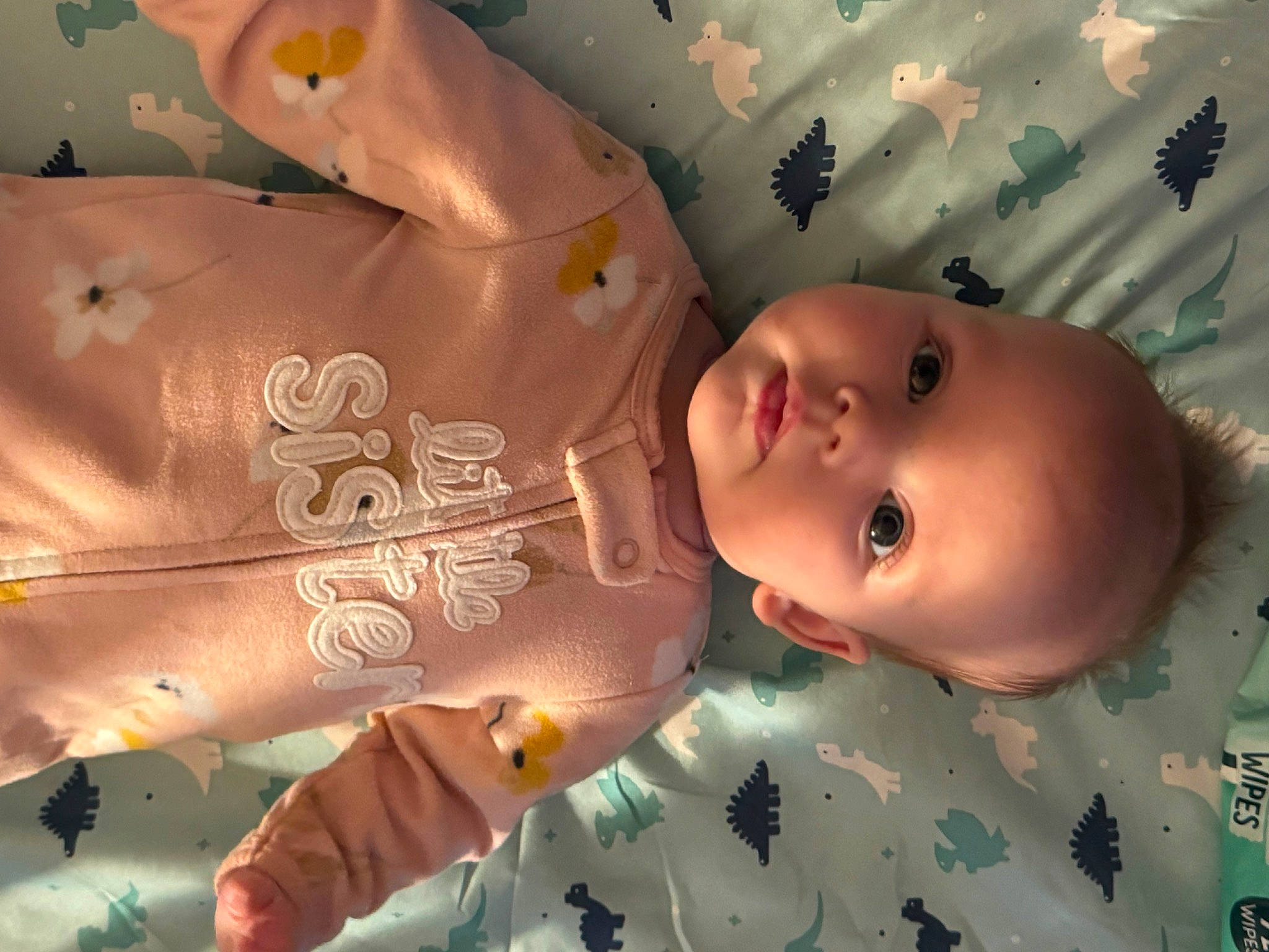Lincoln joined the competition — help win amazing prizes! baby, baby_toddler_clothing, cheek, child, finger, fun, happy, head, human, leaf, mouth, nose, organism, pattern, person, skin, smile, space, textile, toddler