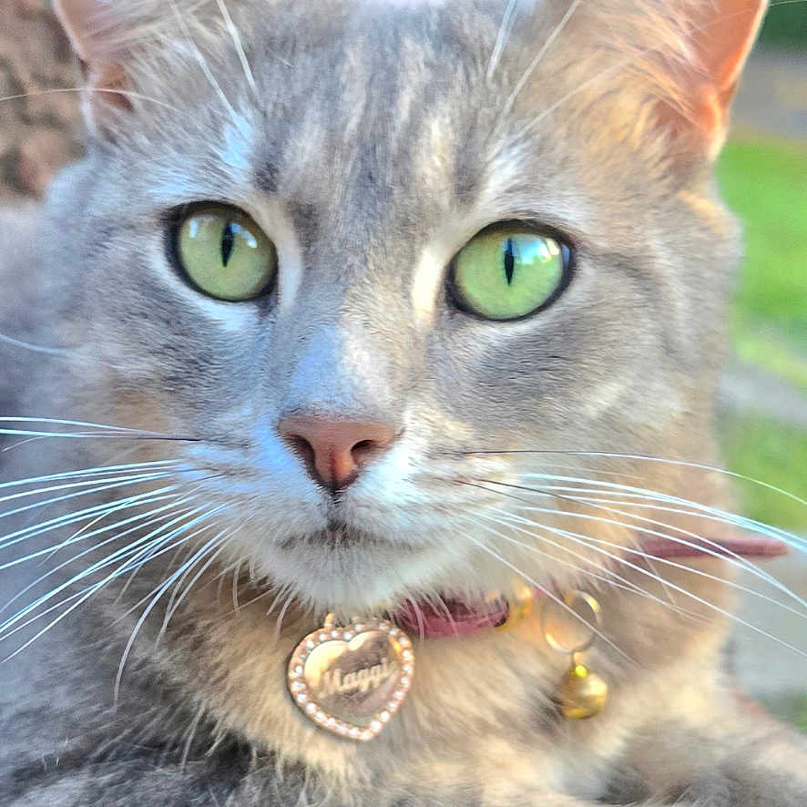 Maggie