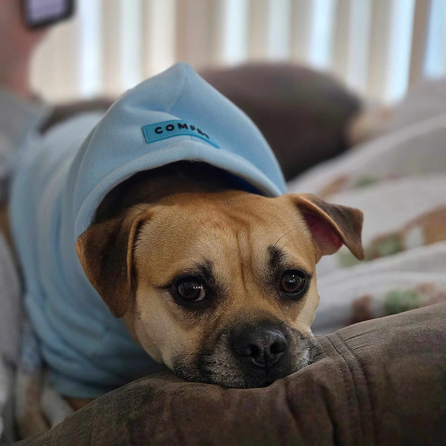 Tugboat