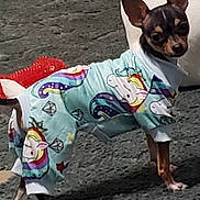 Tippy is registered to the contest to win money with this photo: dog, small_dog, puppy, pet, animal, unicorn_pajamas, clothing, costume, colorful, cute, indoors, standing, ears_up, curious, texture, floor, cozy, funny_outfit, canine, domestic_animal