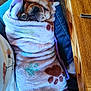 Mister joined the competition — help win amazing prizes! puppy, dog, blanket, paw_prints, sleeping, cozy, lap, jeans, wooden_table, indoor, cute, pet, resting, wrapped, soft, fur, paw, casual_clothing, relaxed, comfort