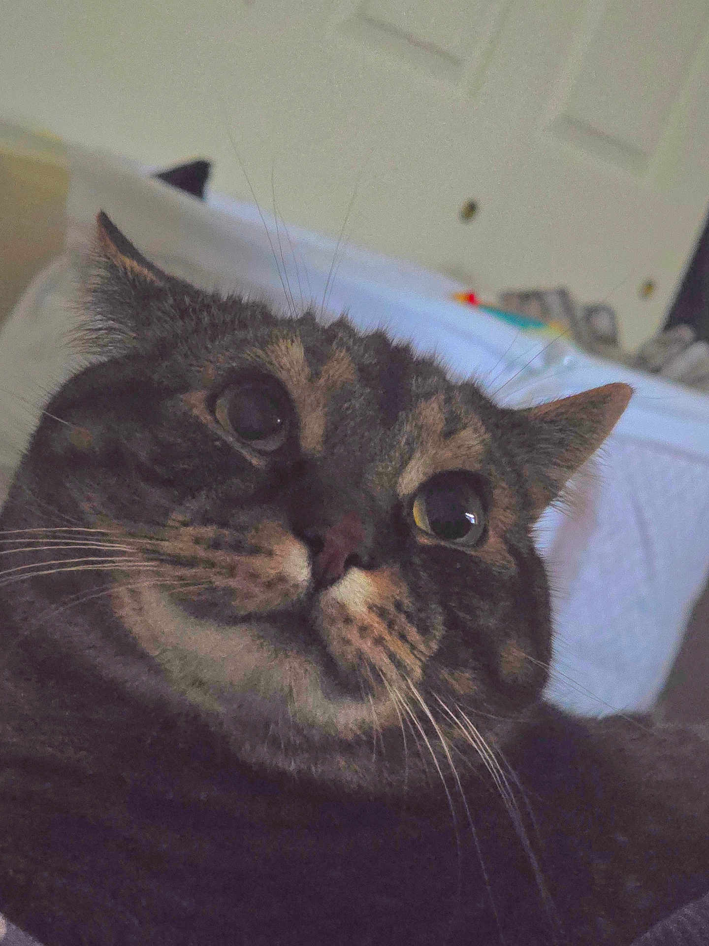 Tubby