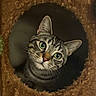 cat, tabby_cat, painting, art, realistic_art, green_eyes, curious, fur, portrait, animal, close_up, face, whiskers, ears, texture, brown, circular_opening, peeking, detailed, cute