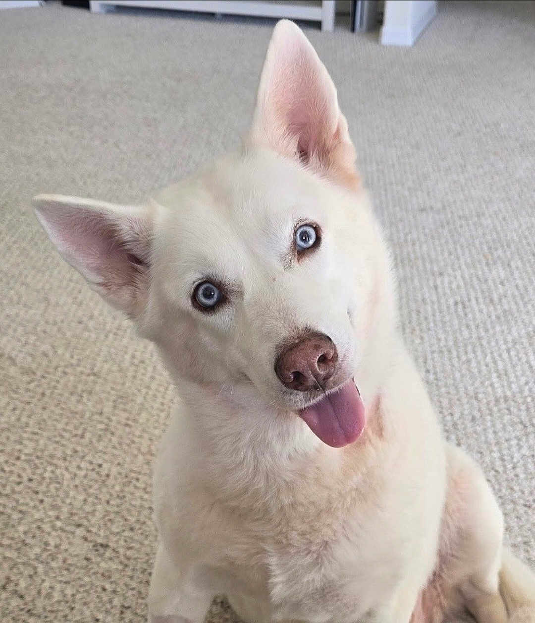 Mia