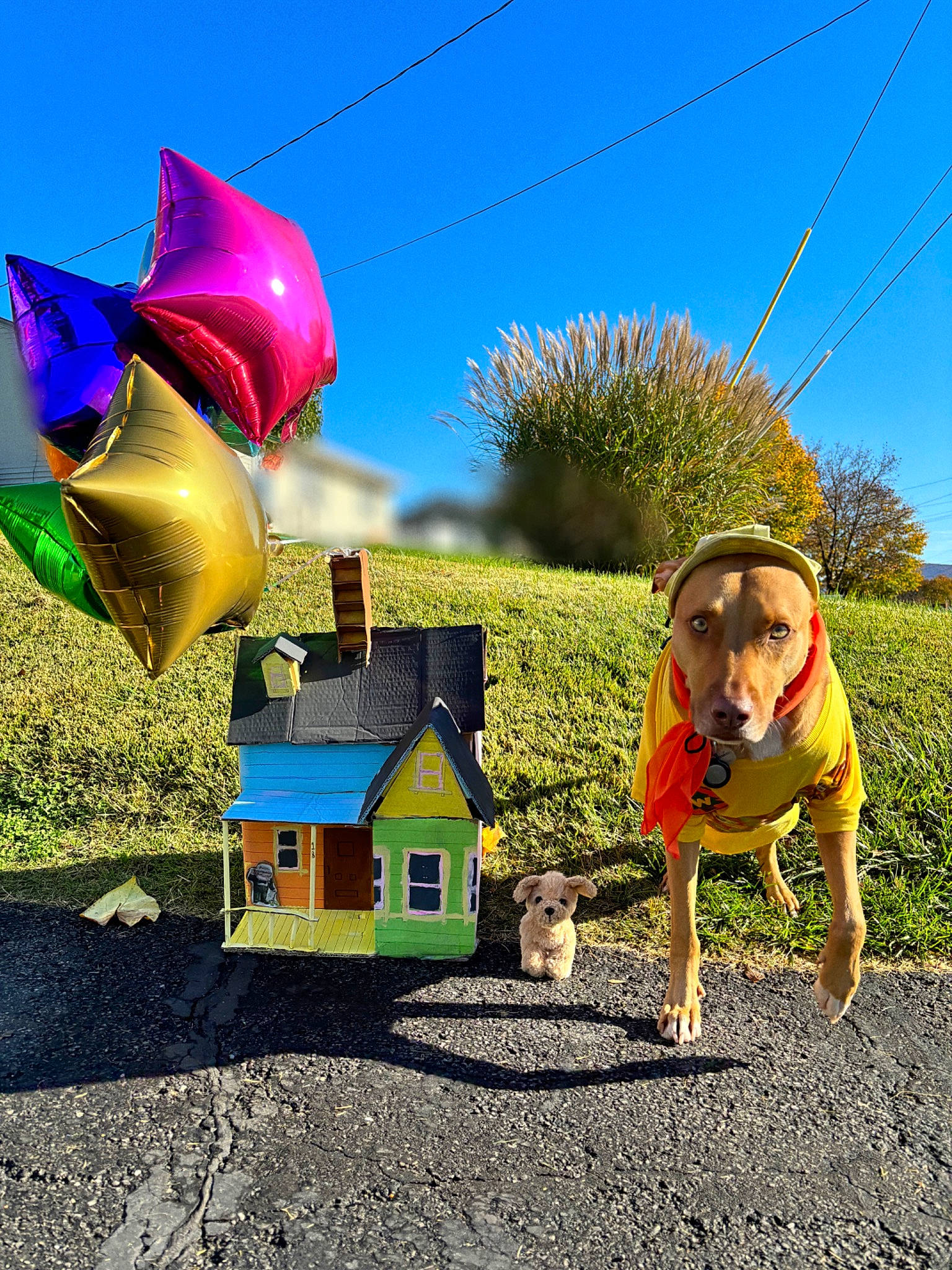 Jeter joined the competition — help win amazing prizes! asphalt, automotive_wheel_system, cottage, fashion_accessory, fun, garden, grass, house, landscape, lawn_ornament, leisure, plant, recreation, road, road_surface, roof, sky, sunglasses, tree, wheel