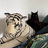 cat, plush_tiger, couch, pillows, blanket, indoor, black_cat, stuffed_animal, relaxing, home_decor, patterned, animal_toy, feline, cozy, soft, resting, cute, pet, comfort, living_room
