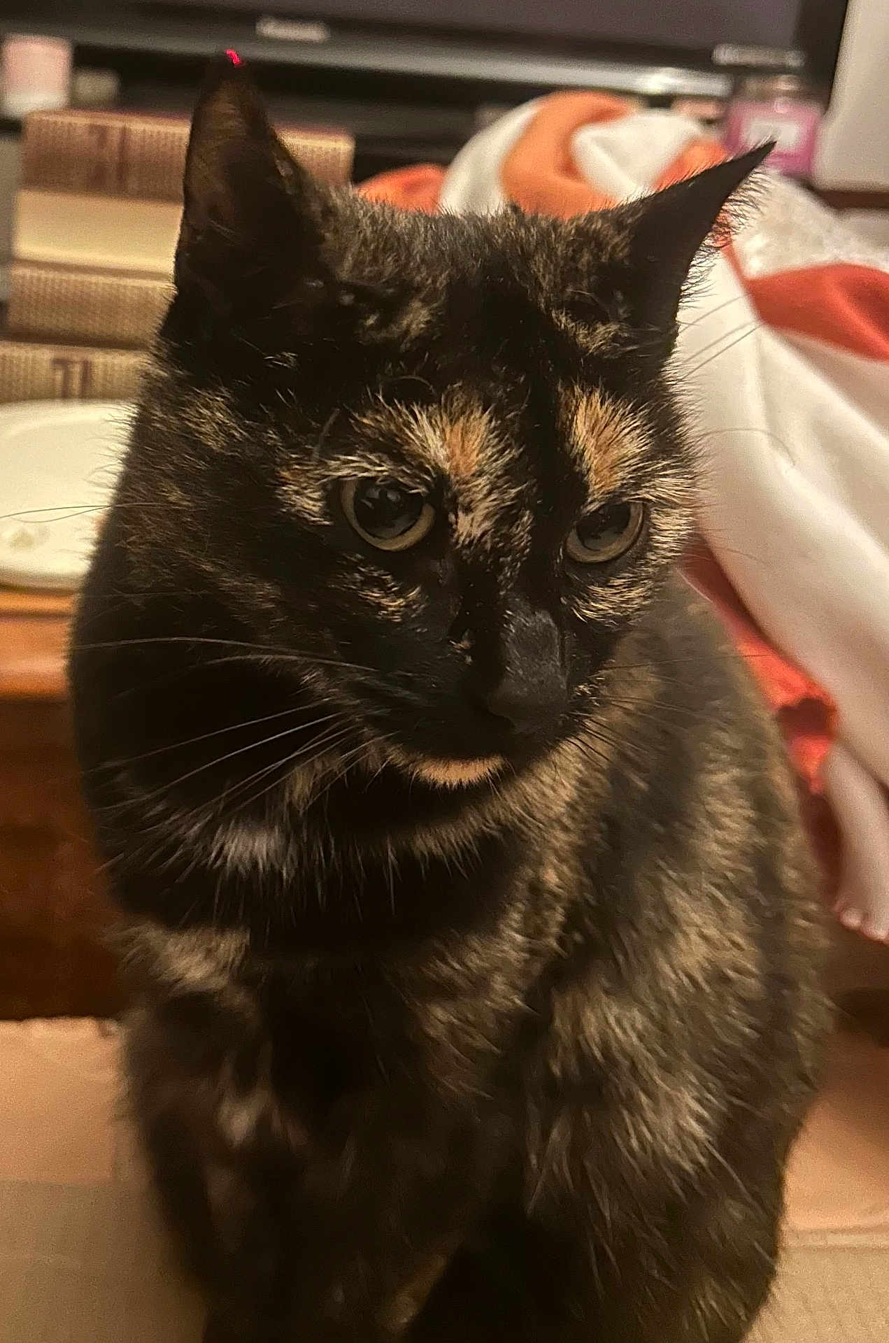 Rosalie