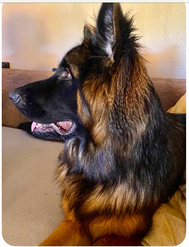 Vaïa