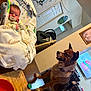 baby, pacifier, dog, table, blanket, indoor, furniture, television, plant, door, person, carseat, wood, pet, animal, living_room, curious, home, child