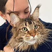 Sylla a rejoint le concours — aidez-le/la à gagner de superbes lots ! person, cat, maine_coon, hugging, pet, fluffy, fur, green_eyes, indoor, portrait, close_up, affection, cuddling, animal, friendly, cute, long_hair, casual, sweater, happy