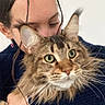 person, cat, maine_coon, hugging, pet, fluffy, fur, green_eyes, indoor, portrait, close_up, affection, cuddling, animal, friendly, cute, long_hair, casual, sweater, happy