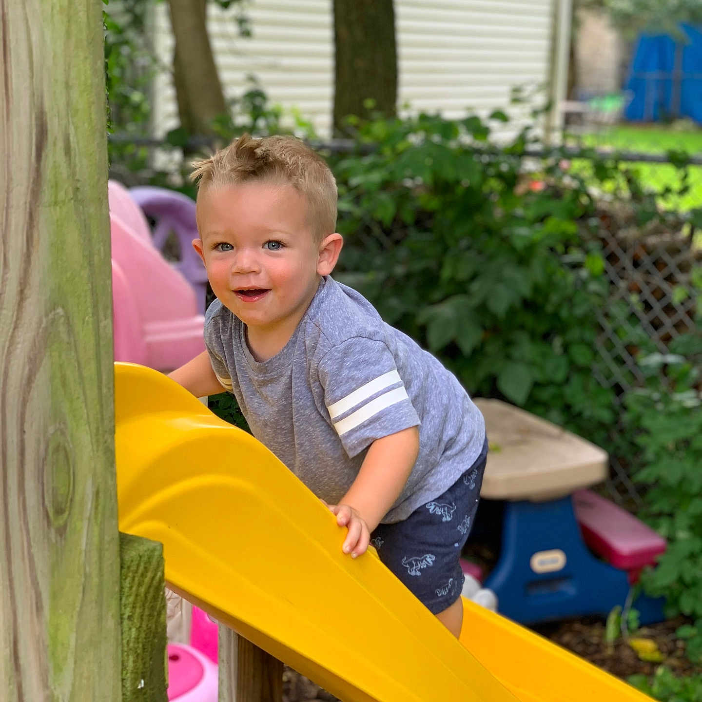 Tucker joined the competition — help win amazing prizes! backyard, boy, child, face, grass, head, male, nature, outdoorplayarea, outdoors, person, photography, plant, playarea, portrait, pottedplant, slide, summer, toy, yard