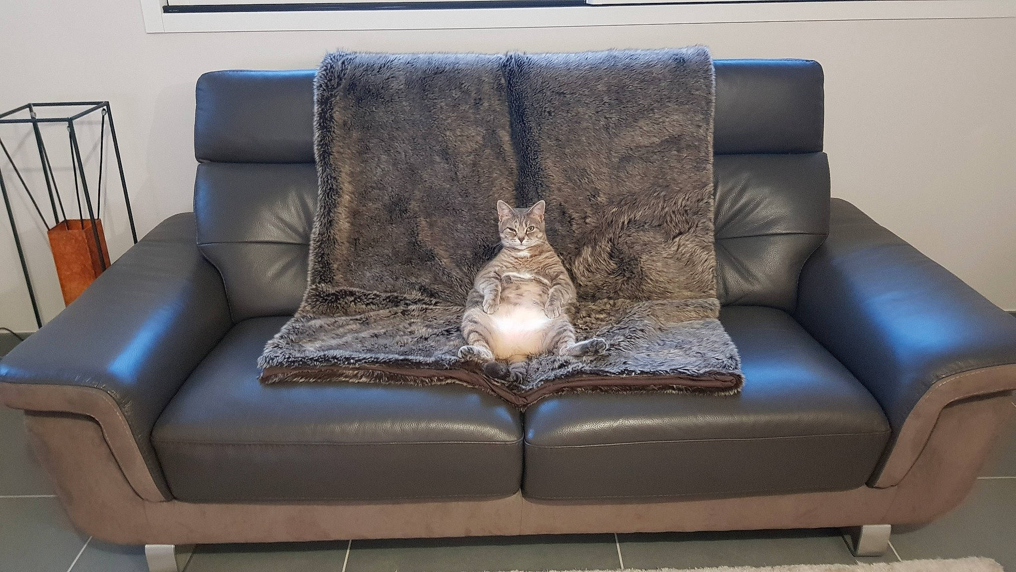 Poupie a rejoint le concours — aidez-le/la à gagner de superbes lots ! armrest, brown, building, chair, club_chair, comfort, couch, floor, flooring, furniture, hardwood, interior_design, living_room, material_property, outdoor_furniture, rectangle, studio_couch, textile, wall, wood