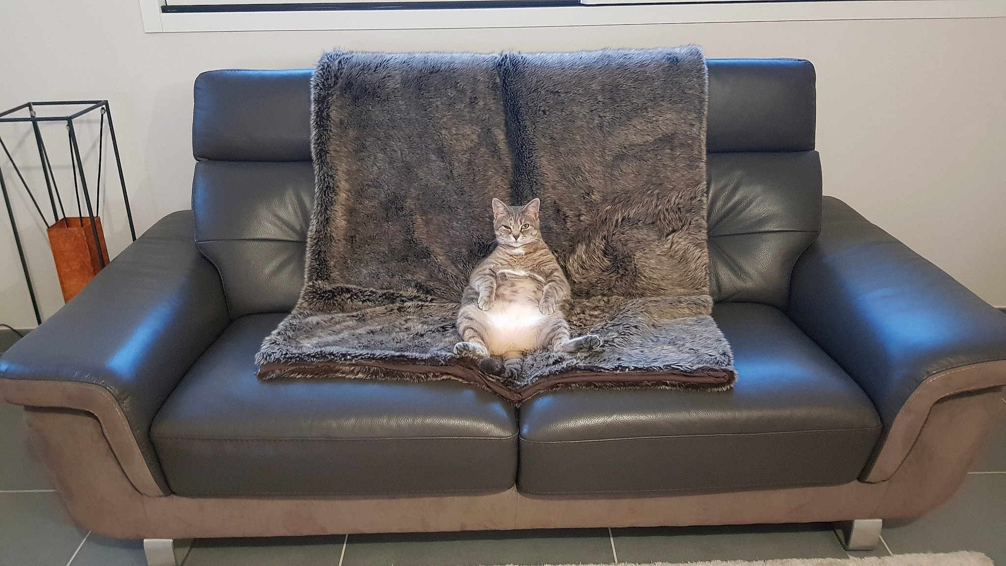 Poupie