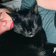 Stella Blue Baez joined the competition — help win amazing prizes! person, black_cat, sleeping_cat, cuddle, close_up, indoor, nap, resting, face, pet, animal, cozy, comfort, human, eyelids_closed, fur, relaxation, bed, casual_clothing, intimate_moment