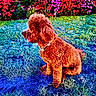 Mille joined the competition — help win amazing prizes! dog, grass, flower_bed, garden, outdoor, pet, canine, fur, collar, colorful, nature, plant, sitting, side_view, greenery, bush, summer, vibrant, red_flower, pink_flower