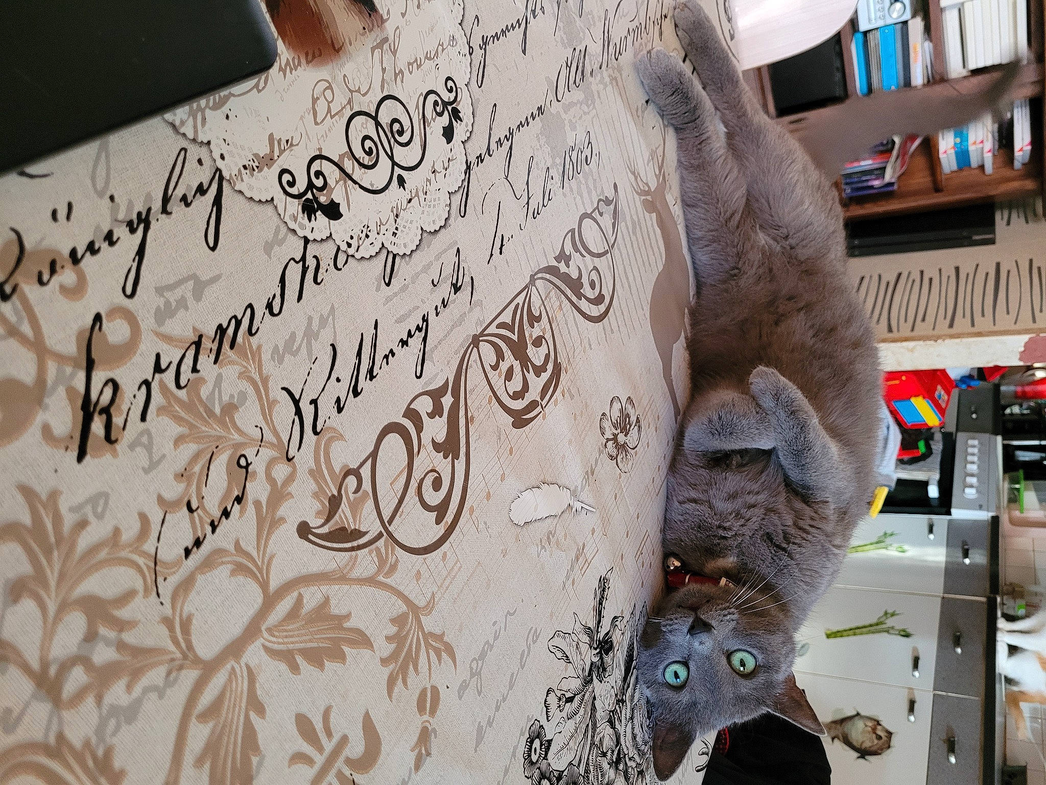 Princesse a rejoint le concours — aidez-le/la à gagner de superbes lots ! art, bookcase, event, font, fur, grey, handwriting, illustration, ink, linens, mammal, pattern, room, shelf, stuffed_toy, textile, toy, vertebrate, visual_arts, wood