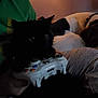 black_cat, dog, game_controller, indoor, pet, animal, human_hand, couch, relaxing, dark, shadow, feline, canine, playing, electronics, casual, home, comfort, friendship, gamer
