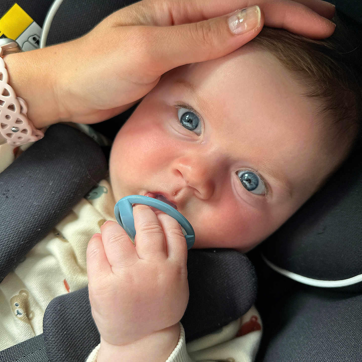 Martin a rejoint le concours — aidez-le/la à gagner de superbes lots ! baby, blue_eyes, car, car_seat, child, close_up, clothing, comfort, cute, face, hand, head, holding, infant, nail_polish, pacifier, person, seatbelt, sitting, skin