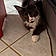 Balthazar