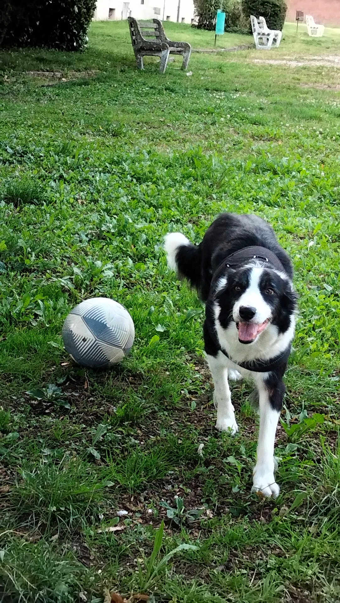Nova