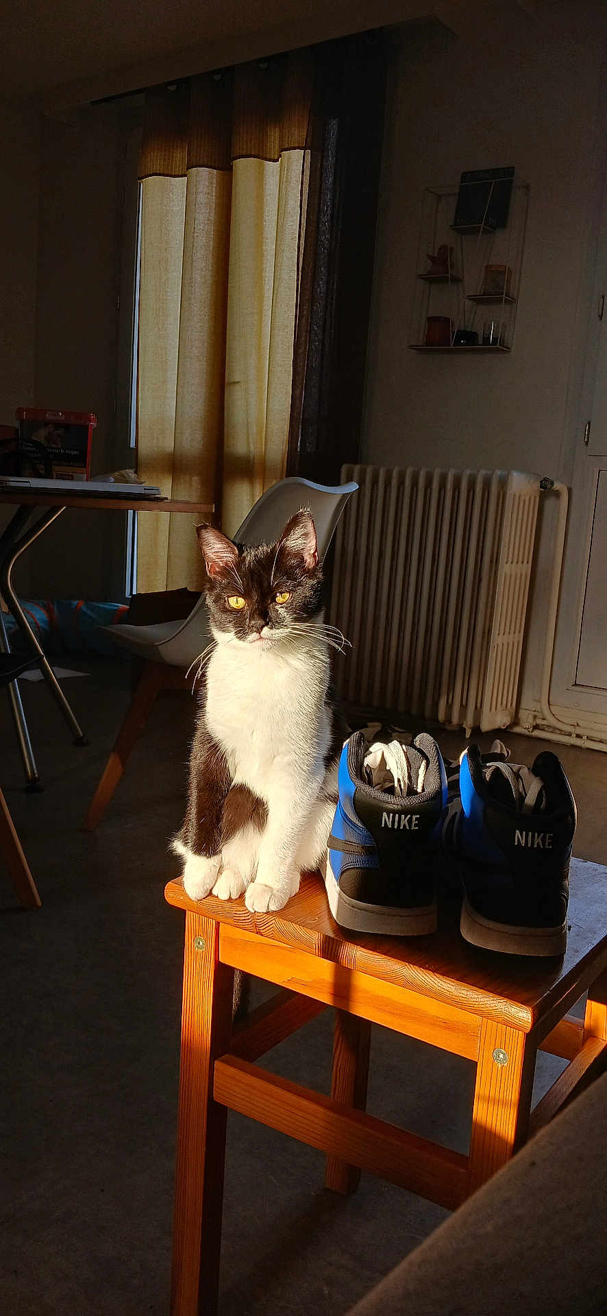 Niki