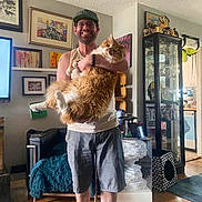 Witcher is registered to the contest to win money with this photo: artwork, cap, cat, display_cabinet, fluffy_cat, furniture, glasses, happy, home, indoor, living_room, man, orange_cat, pet, rug, shorts, smiling, tank_top, white_cat, wooden_floor