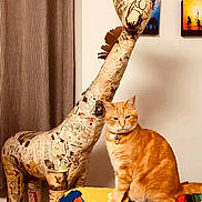 Oscar participe au concours pour gagner de l'argent avec cette photo : cat, orange_cat, tabby, sculpture, giraffe, newspaper, indoor, blanket, colorful, artwork, painting, furniture, curtain, collar, pet, animal, decor, room, wall, posing