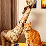 cat, orange_cat, tabby, sculpture, giraffe, newspaper, indoor, blanket, colorful, artwork, painting, furniture, curtain, collar, pet, animal, decor, room, wall, posing