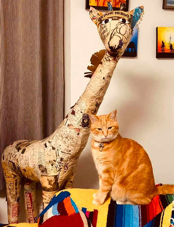 Oscar participe au concours pour gagner de l'argent avec cette photo : cat, orange_cat, tabby, sculpture, giraffe, newspaper, indoor, blanket, colorful, artwork, painting, furniture, curtain, collar, pet, animal, decor, room, wall, posing