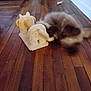 Balthazar participe au concours pour gagner de l'argent avec cette photo : blur, brown_floor, cat, cozy, cute, floorboards, fluff, furry_cat, hallway, home, indoor, motion_blur, movement, pet, playing, plush_toy, scattered_debris, scratching_toy, toy, wooden_floor
