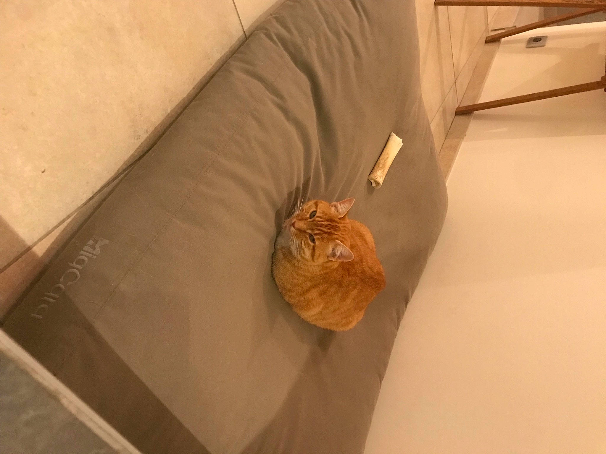 Châtaigne participe au concours pour gagner de l'argent avec cette photo : beige, ceiling, chair, circle, comfort, flooring, hardwood, home_accessories, linens, natural_material, pattern, peach, plywood, room, thread, wood, wood_flooring, wood_stain