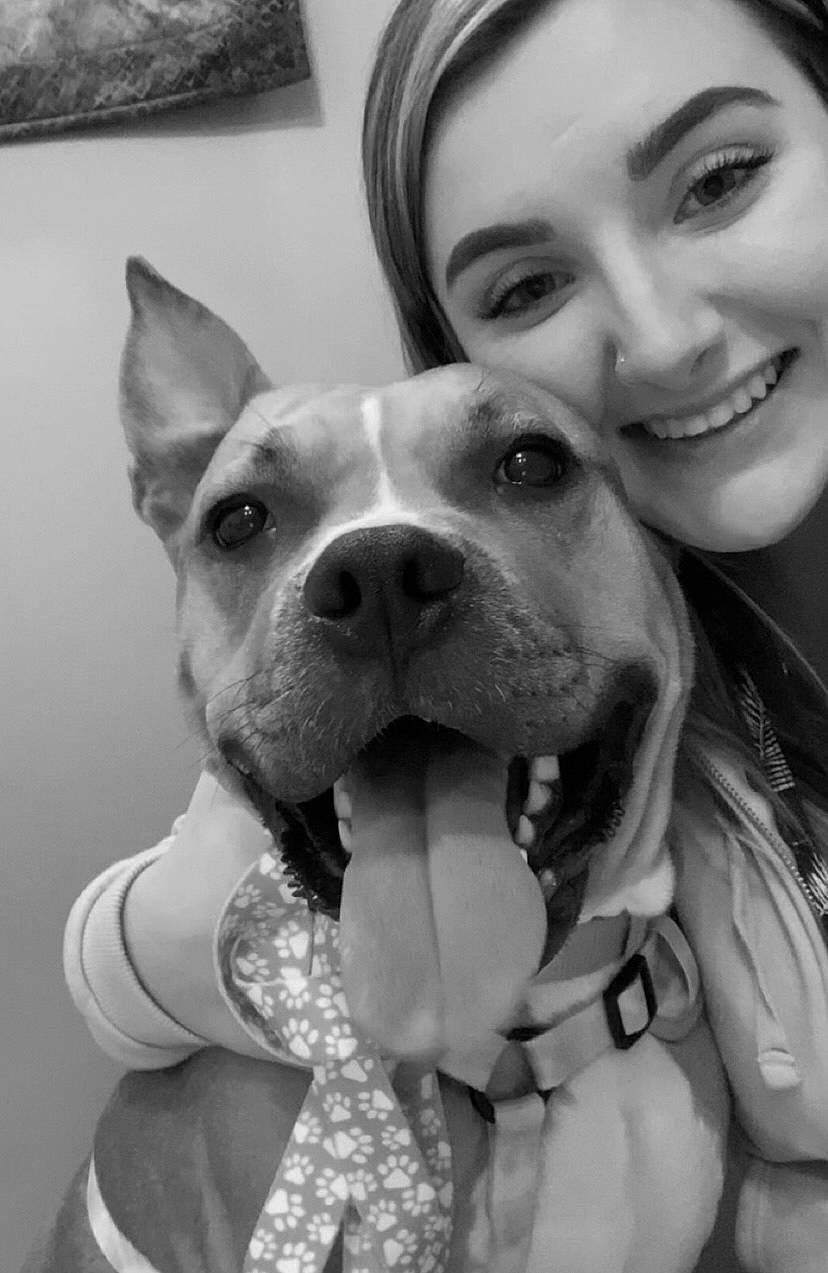 Harper joined the competition — help win amazing prizes! black, black_and_white, carnivore, companion_dog, dog, dog_breed, ear, fawn, gesture, happy, head, jaw, monochrome, monochrome_photography, organ, photograph, smile, style, whiskers, white