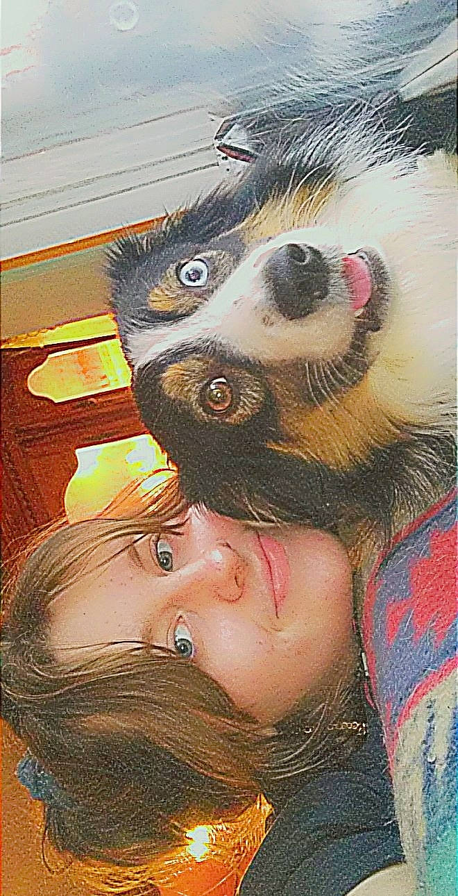 Curtis joined the competition — help win amazing prizes! art, beard, chest, dog_breed, dress, ear, eyebrow, eyelash, fawn, fur, gesture, happy, human_body, iris, jaw, nose, selfie, snout, visual_arts, whiskers