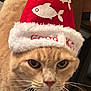 cat, animal, pet, hat, christmas_hat, red, white, fish_design, feline, whiskers, marble_surface, wooden_cabinet, indoor, closeup, portrait, expression, cute, festive, costume, unimpressed