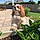 Ushka