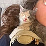 Moon participe au concours pour gagner de l'argent avec cette photo : kitten, cat, sleeping, person, glasses, shoulder, couch, stuffed_toy, relaxing, indoor, closeup, hair, clothing, face, pet, nap, comfort, feline, cute, rest