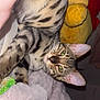 tabby_cat, cat, pet, green_eyes, whiskers, fur, blanket, plush_toy, indoor, close_up, curious, paw, striped, animal, feline, soft_texture, resting, cozy, cute, mammal