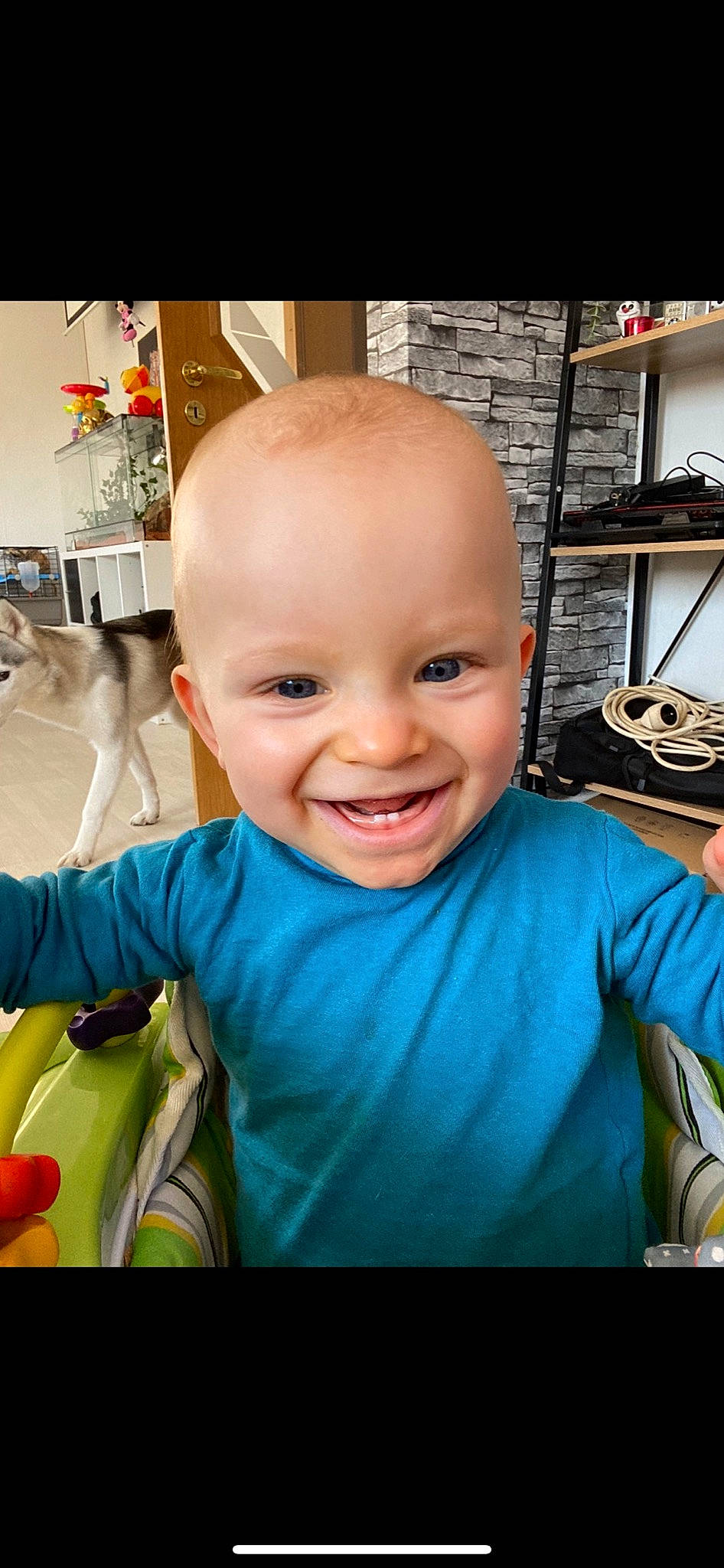 Benjamin a rejoint le concours — aidez-le/la à gagner de superbes lots ! baby, baby_products, child, companion_dog, dog, dog_breed, flooring, fun, happy, iris, joy, laugh, leisure, person, room, selfie, sitting, skin, smile, t_shirt