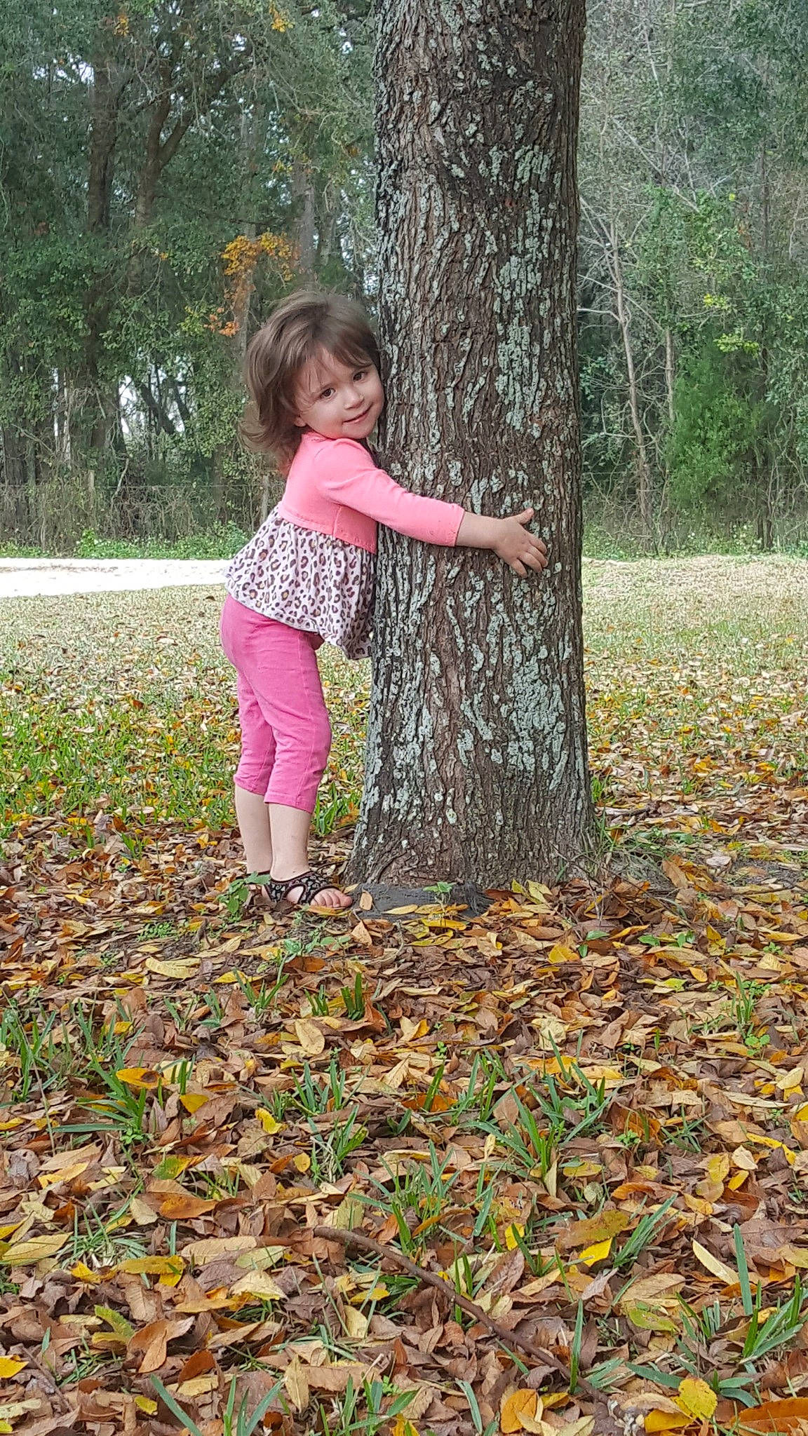 Camellia joined the competition — help win amazing prizes! autumn, branch, child, deciduous, forest, fun, garden, girl, grass, joy, leaf, person, plant, play, shrub, spring, toddler, tree, trunk, woodland