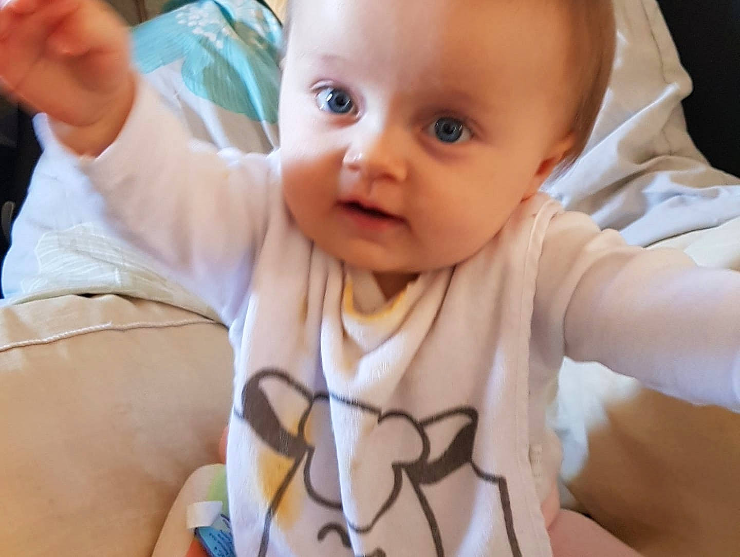 Syam a rejoint le concours — aidez-le/la à gagner de superbes lots ! arm, baby, cheek, child, cool, ear, eye, face, finger, forehead, hand, head, human, lip, mouth, muscle, neck, nose, person, skin