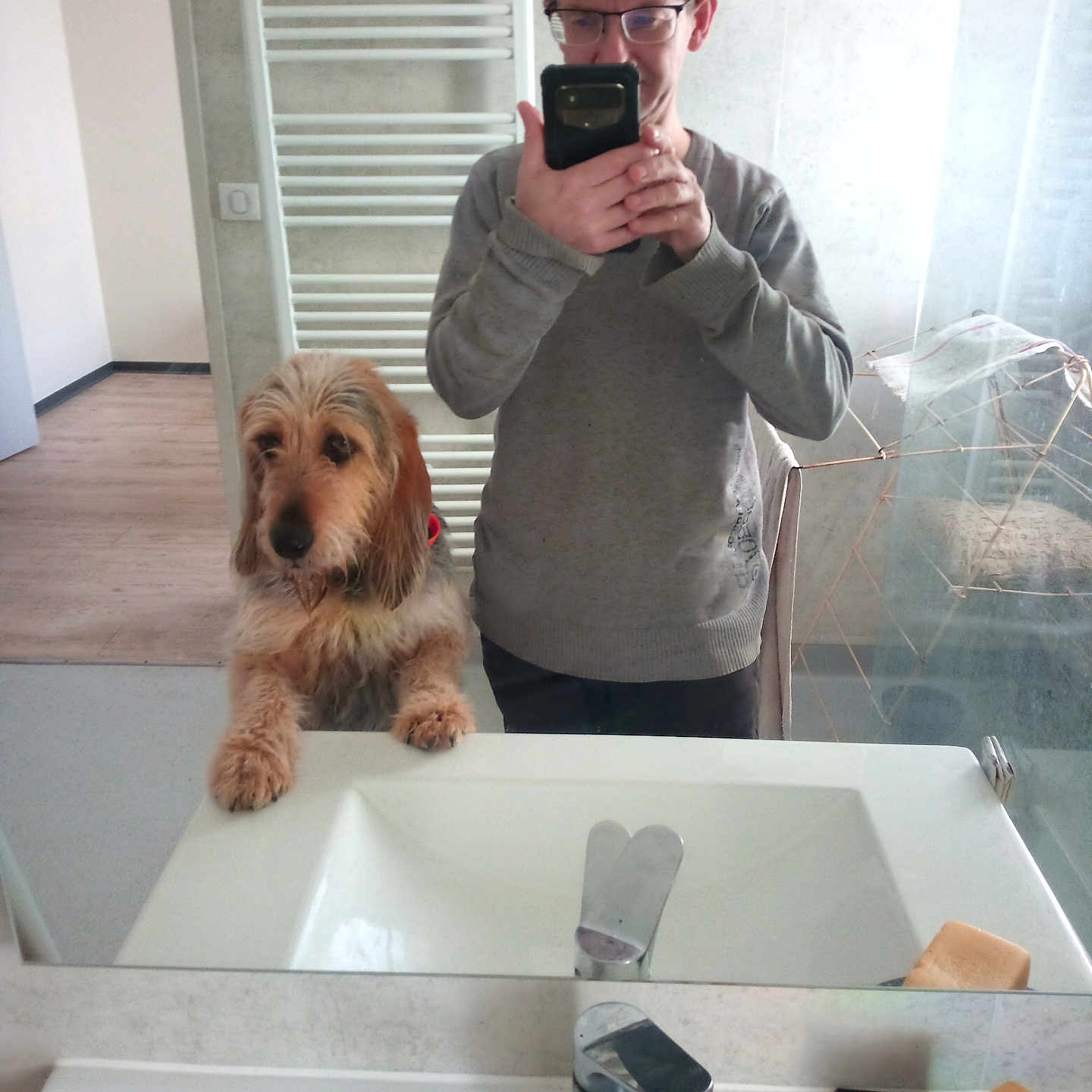 Unès participe au concours pour gagner de l'argent avec cette photo : man, dog, mirror, bathroom, sink, soap, towel_rack, drying_rack, glasses, sweater, wooden_floor, reflection, pet, washing_area, casual_clothing, indoor, curious_dog, selfie, household, cleaning