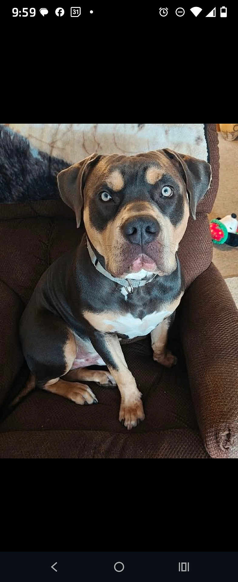 Reese