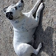 Hulys a rejoint le concours — aidez-le/la à gagner de superbes lots !