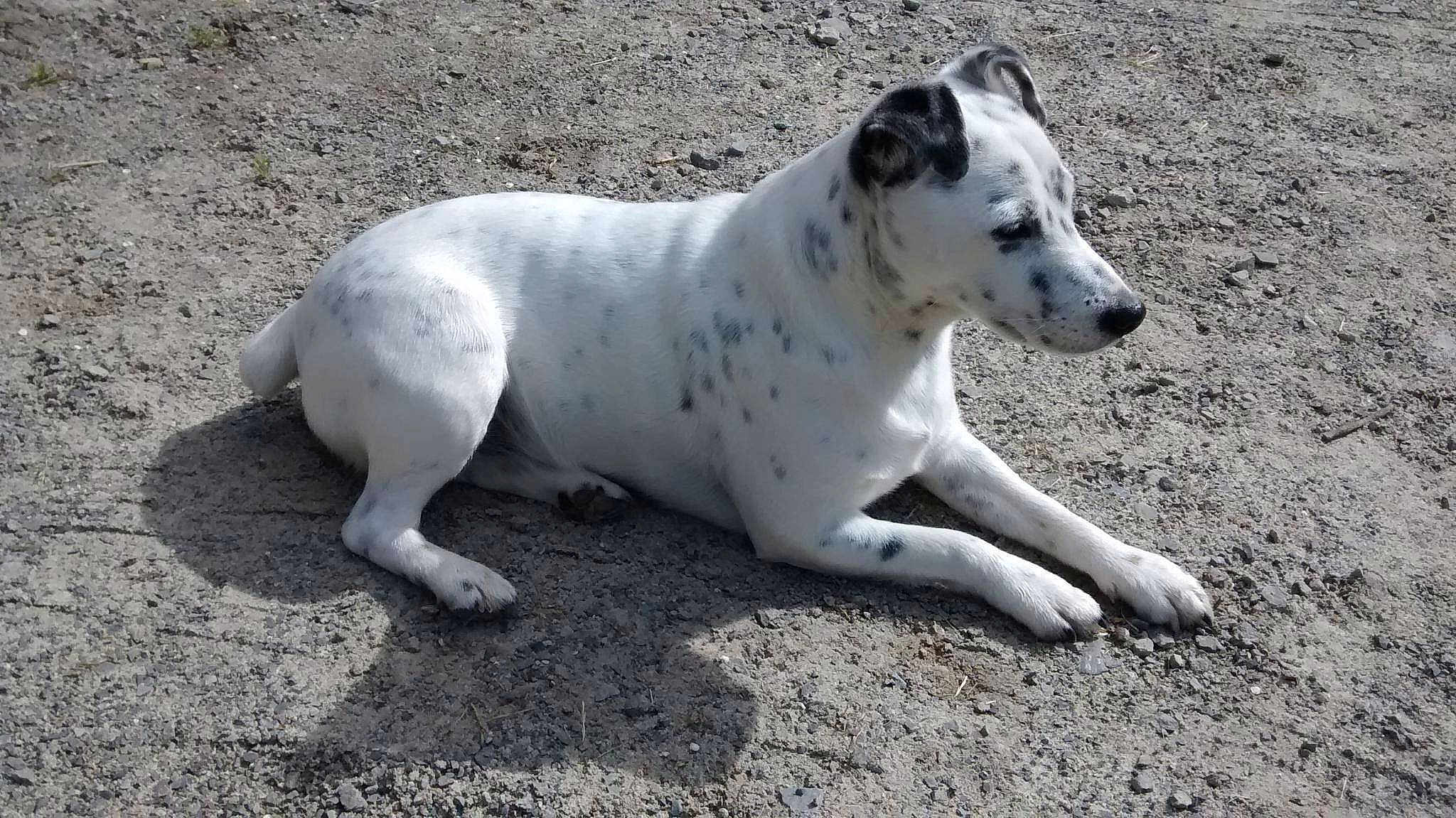 Hulys a rejoint le concours — aidez-le/la à gagner de superbes lots !