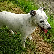 Hulys a rejoint le concours — aidez-le/la à gagner de superbes lots !