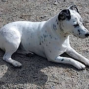 Hulys participe au concours pour gagner de l'argent avec cette photo :