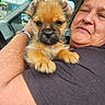 arm, bracelet, car, closeup, clothing, companion, cute, dog, face, friendly, fur, holding, indoor, person, pet, puppy, seat, smile, window, woman