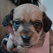 Ynot is registered to the contest to win money with this photo: